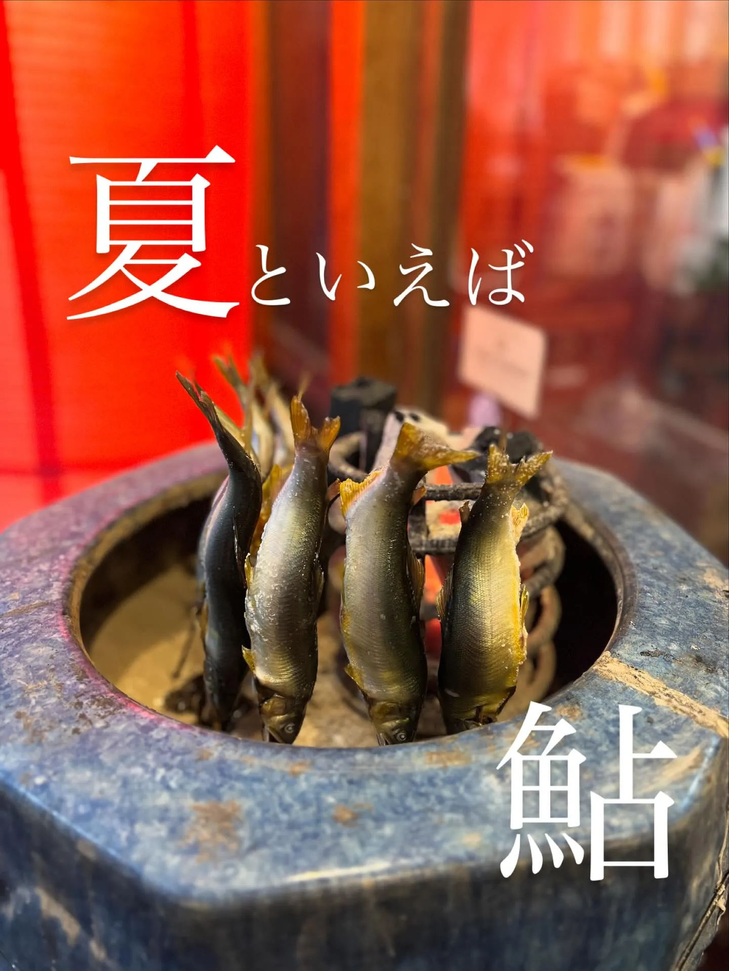 9/3 水酔日