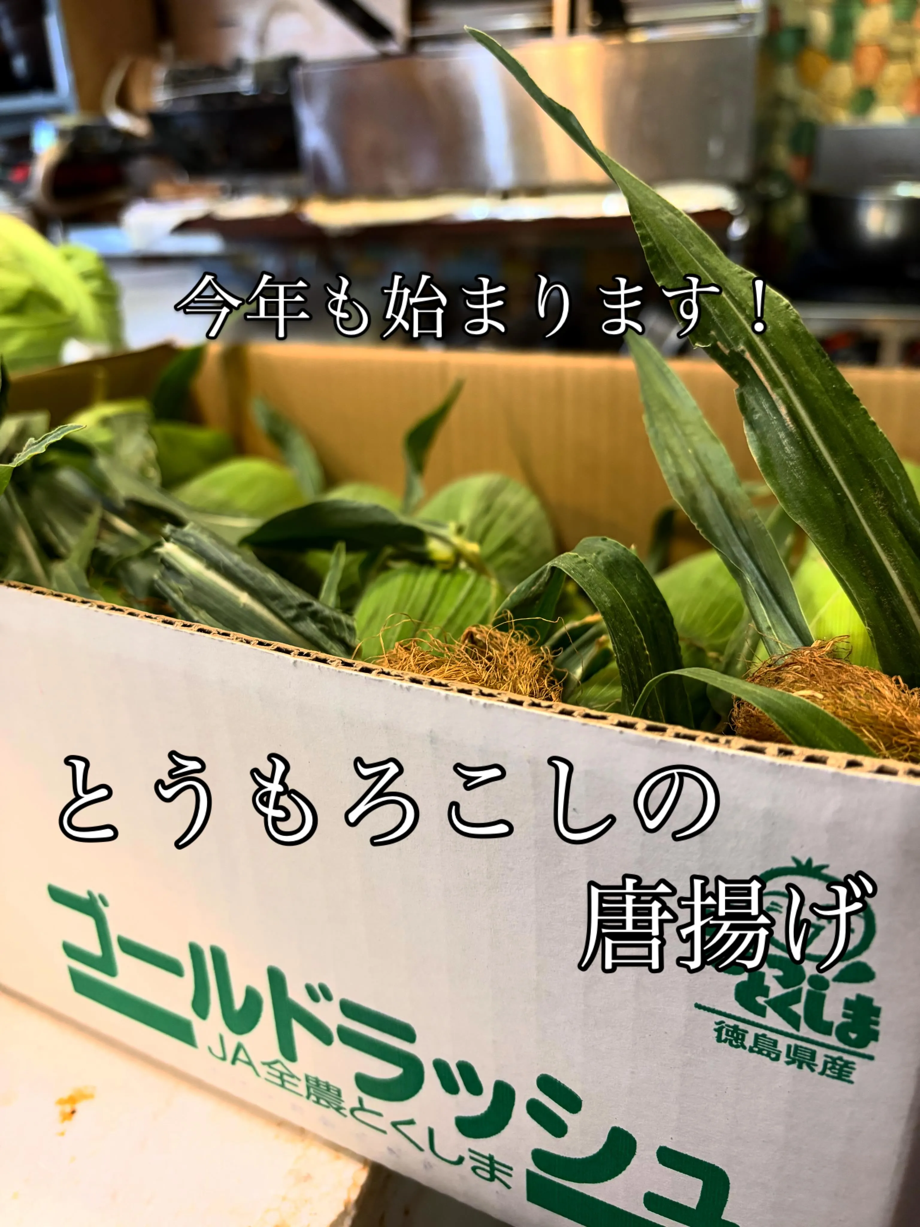 5/13 水酔日