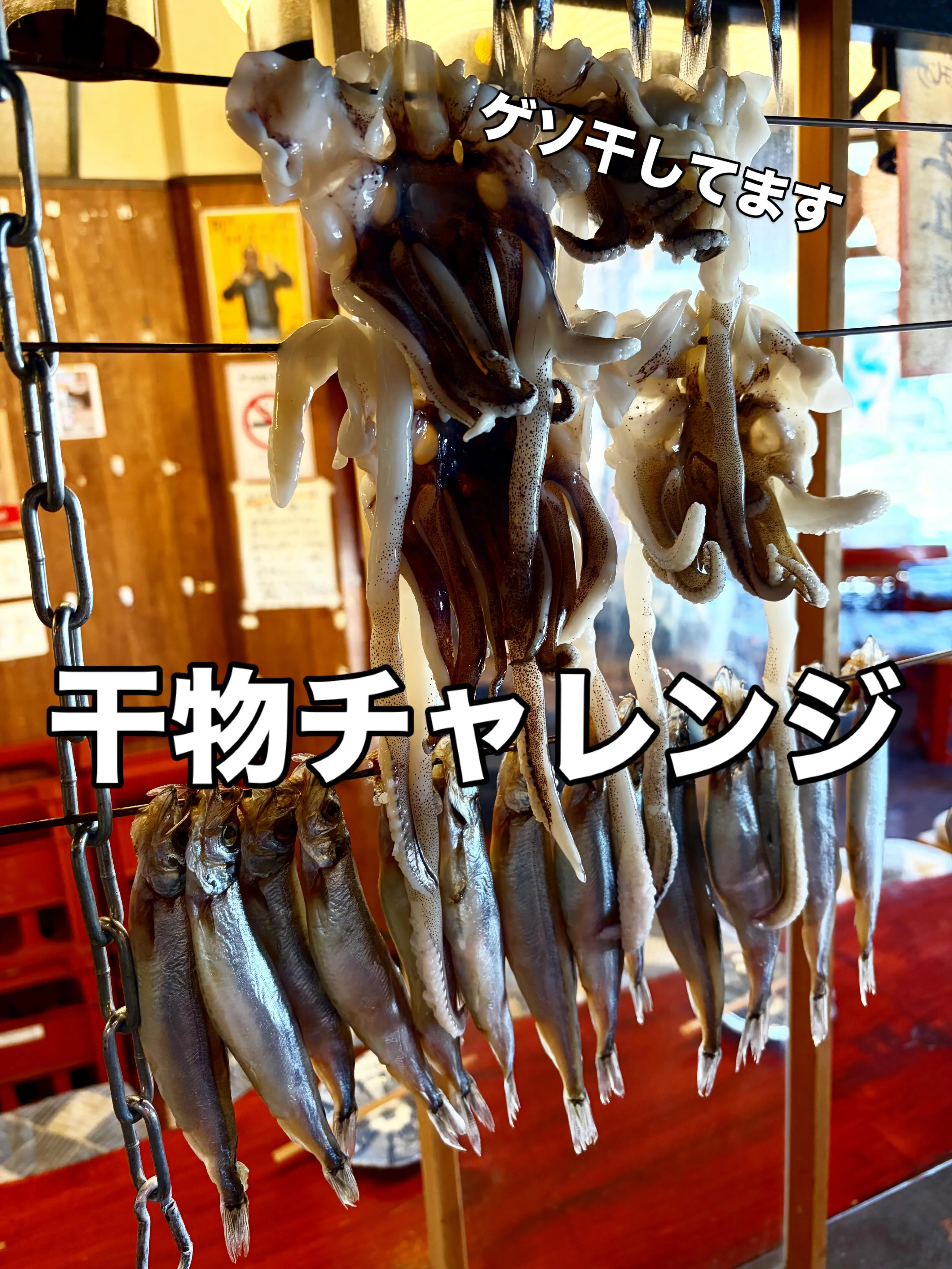 5/21 木酔日
