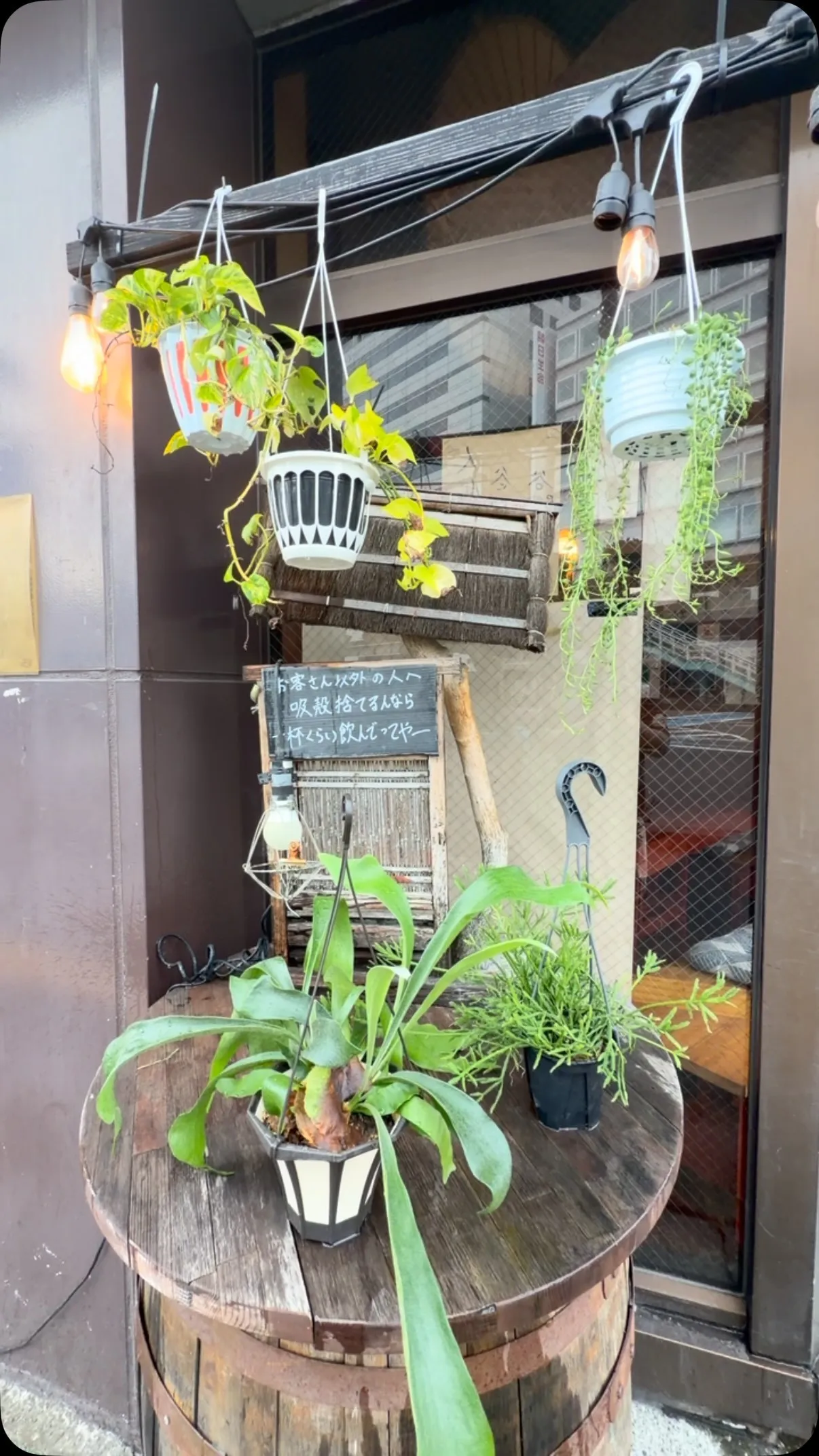 7/6 月酔日
